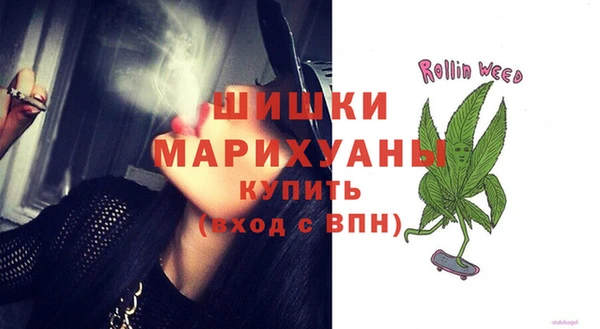 стафф Покачи