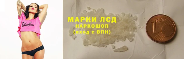стафф Покачи