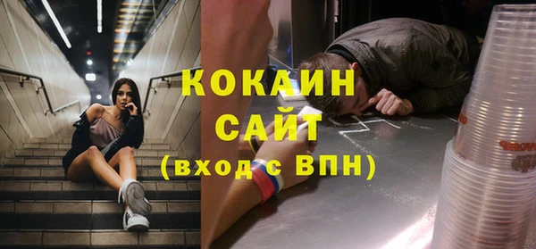 молекула духа Алексин